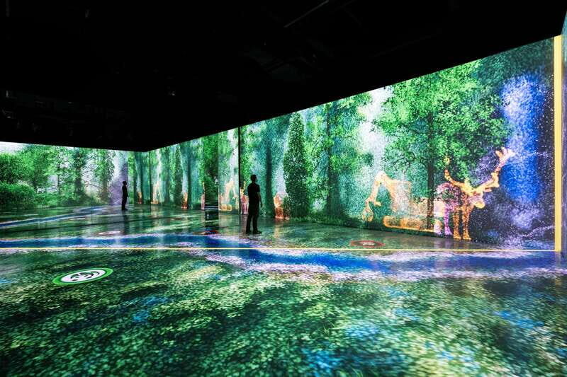 Toronto: Arcadia Earth, Immersive Experience Anytime Ticket - An In-Depth Look at Arcadia Earth Toronto