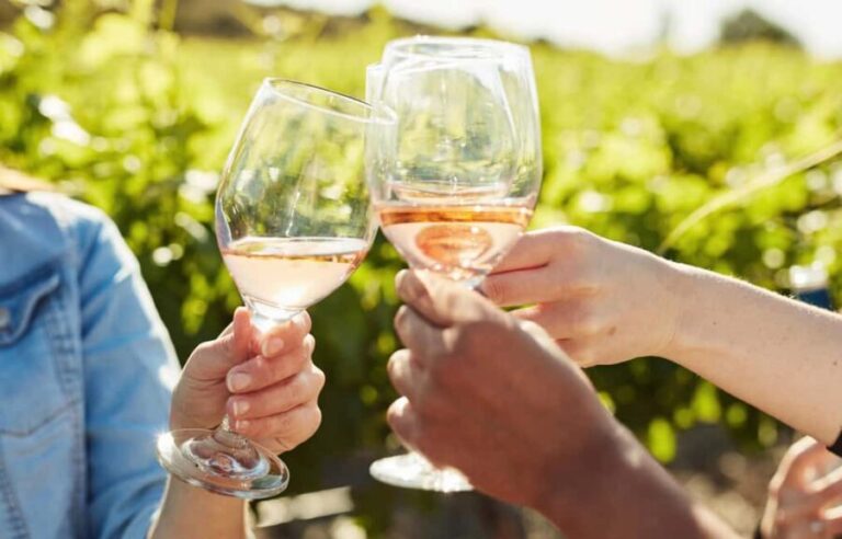 Toronto: Niagara-on-the-Lake, Wine Tasting & Chocolate Tour - A Deep Dive into the Experience