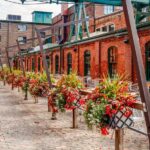 Toronto Premium Night Driving Tour with Tower Entry - Why This Tour Works Well