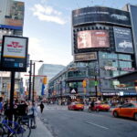 Toronto: Small Group Night Tour with Harbour Boat Cruise - A Complete Look at the Toronto Night Tour Experience