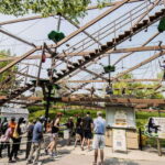 Toronto: Toronto Zoo Entry Ticket - Who Will Love the Toronto Zoo?