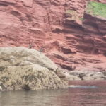 Torquay: Canoe Rental - Exploring the Coastal Charm of Torquay by Canoe