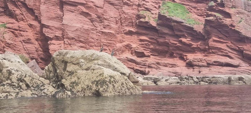 Torquay: Canoe Rental - Exploring the Coastal Charm of Torquay by Canoe