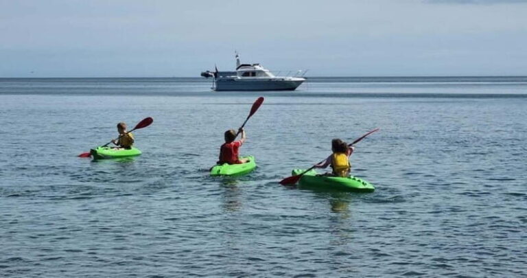 Torquay: Kayak Rental with Sit-on-Top and Sit-in Kayaks - The Sum Up: Why This Kayak Rental Is a Solid Choice