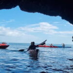 Torquay: Wildlife, Bushcraft and Sea Cave Kayak Safari - Wildlife Encounters