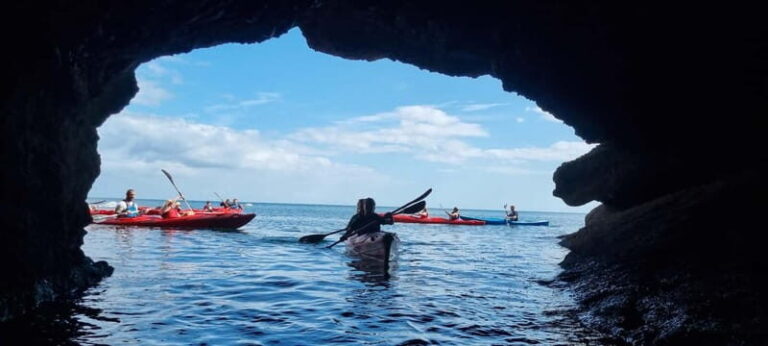 Torquay: Wildlife, Bushcraft and Sea Cave Kayak Safari - Wildlife Encounters