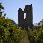 Torre Raone: the tradition of the vineyards - Inside the Cellar and Tasting
