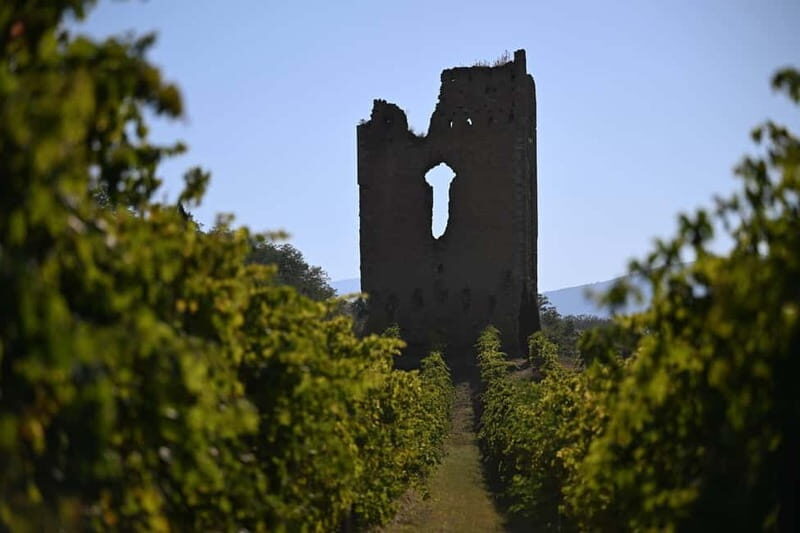 Torre Raone: the tradition of the vineyards - Inside the Cellar and Tasting