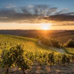 Total Immersion Wine Tour in Chianti - Setting and Location