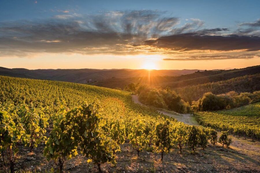 Total Immersion Wine Tour in Chianti - Setting and Location