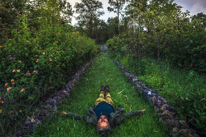 Totláli fireflies sighting - Why This Tour Offers Great Value