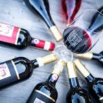 Tour and Tasting at an Organic Winery in the Heart of Chianti Classico Area - A Deep Dive into the Chianti Organic Winery Tour