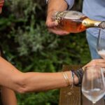 Tour and Tasting of Organic Wines in Lazise - An In-Depth Look at the Lazise Organic Wine Tour