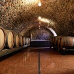 Tour and Tasting of Sparkling Wines in Valeggio - The Tasting Experience