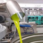 TOUR and TICKETS, VISIT TO THE MILL AND EVO OIL TASTING - The Tasting and Food Experience