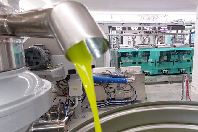 TOUR and TICKETS, VISIT TO THE MILL AND EVO OIL TASTING - The Tasting and Food Experience
