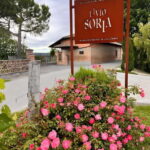 Tour and Wine Tasting between Langhe and Monferrato - Who Is This Tour Perfect For?