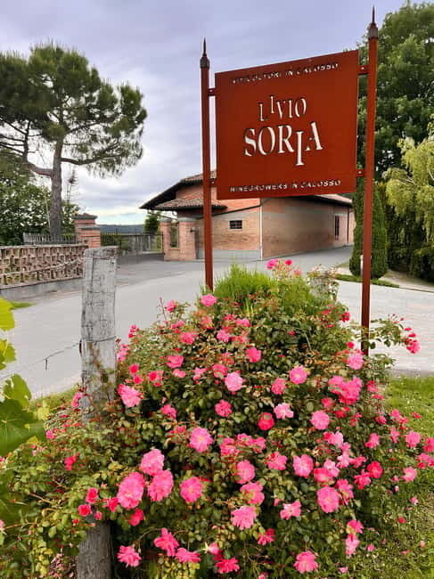 Tour and Wine Tasting between Langhe and Monferrato - Who Is This Tour Perfect For?