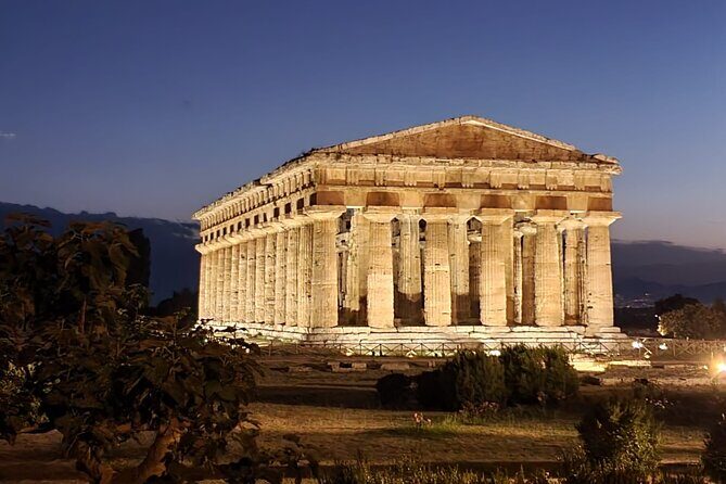 Tour at the Temples and the National Museum of Paestum - A Closer Look at the Tour Experience