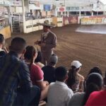 Tour between Charros, Mariachi and Tlaquepaque - Who Is This Tour Best For?