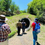 Tour "Bioparque" + Traslados + Tickets incluidos - The Value of the Experience