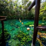 Tour Coba Ruins & Refreshing Cenote Xux Ha Swim With Lunch - Why This Tour Is Worth It