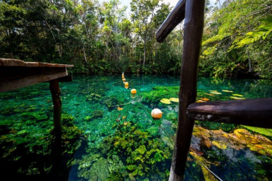 Tour Coba Ruins & Refreshing Cenote Xux Ha Swim With Lunch - Why This Tour Is Worth It