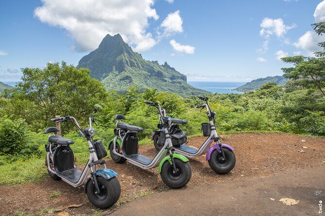Tour DE Moorea EN electric citycoco (EN autonomy) - Authentic, Scenic, and Relaxed