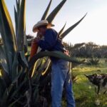 Tour de Pulque en Tepotzotlán, Pueblo Mágico - Practical Details