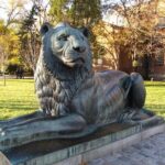 Tour de Sofia - FAQ