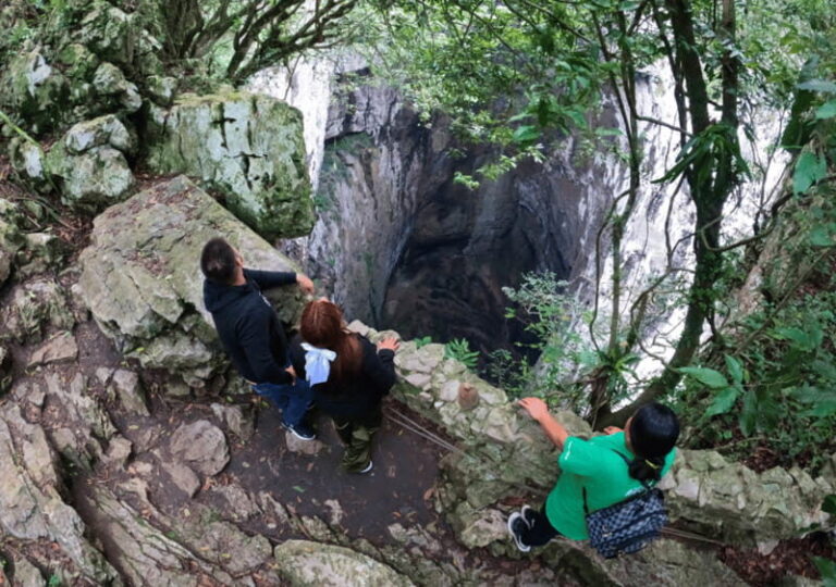 Tour: Edward James Sculpture Garden and Sótano de Huahuas - An In-Depth Look at the Tour Experience