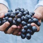 Tour Etna & Wine Tasting - Who is This Tour Best For?