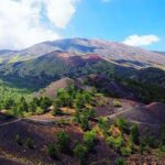 Tour Etna & Wine Tasting Private - Why This Tour Offers Value