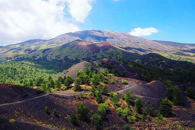 Tour Etna & Wine Tasting Private - Why This Tour Offers Value