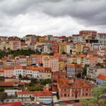 Tour from Lisbon: Aveiro, Coimbra, Conímbriga, and the Palace of Bussaco - What’s Included and What to Keep in Mind