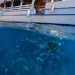 Tour in Alanya with Lunch and Guided Scuba Dives from Side - What Makes This Tour Stand Out?