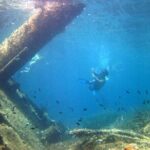 Tour in rubber dinghy and snorkeling in the Protected Marine Area of Tavolara - A Deep Dive into the Tavolara Dinghy & Snorkeling Adventure