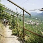 Tour in the Prosecco Hills Tour from Padua - Final Thoughts: Why Choose This Tour?