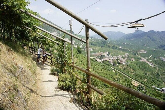 Tour in the Prosecco Hills Tour from Padua - Final Thoughts: Why Choose This Tour?