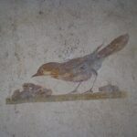 Tour in the roman villas of Stabiae with an archaeologist. - Why It’s a Great Choice for Travelers
