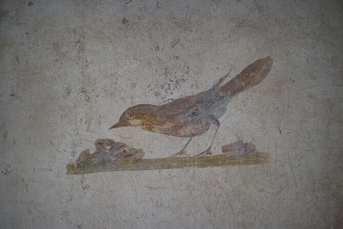 Tour in the roman villas of Stabiae with an archaeologist. - Why It’s a Great Choice for Travelers