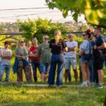 Tour in Valpolicella: wine, oil, and peach tasting - Frequently Asked Questions