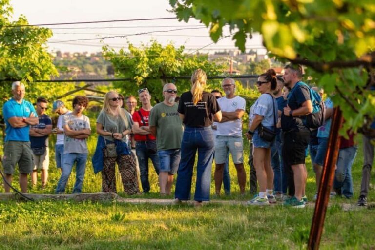 Tour in Valpolicella: wine, oil, and peach tasting - Frequently Asked Questions