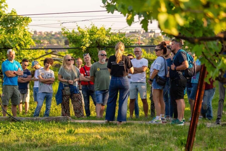 Tour in Valpolicella: wine, oil, and peach tasting - Frequently Asked Questions