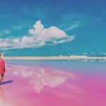 Tour Las Coloradas - The Iconic Las Coloradas Pink Lagoon