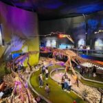 TOUR "Museo del Desierto" + Traslados + Tickets incluidos - In-Depth Review of the "Museo del Desierto" + Saltillo Tour