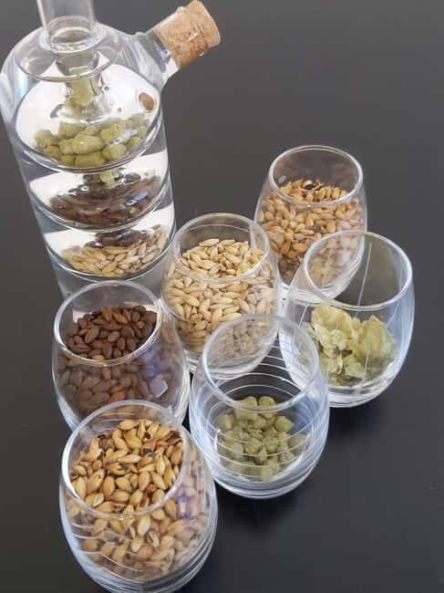 Tour of a craft brewery with tasting - An In-Depth Exploration of the Nova Vida Brewery Tour
