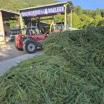 Tour of a family-run lavender essential oil distillery - Final Thoughts