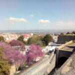 Tour of Arrábida and beautiful landscapes and wine tasting - The Sum Up