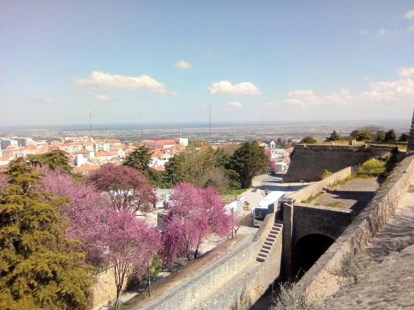 Tour of Arrábida and beautiful landscapes and wine tasting - The Sum Up